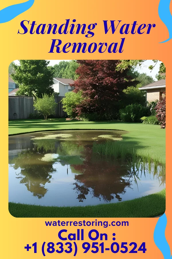Standing Water Removal in Aberdeen, MD